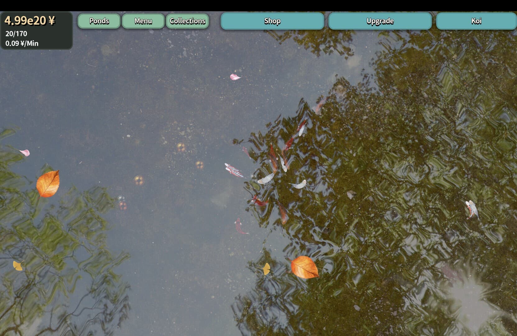 Tranquil Koi 鯉の池