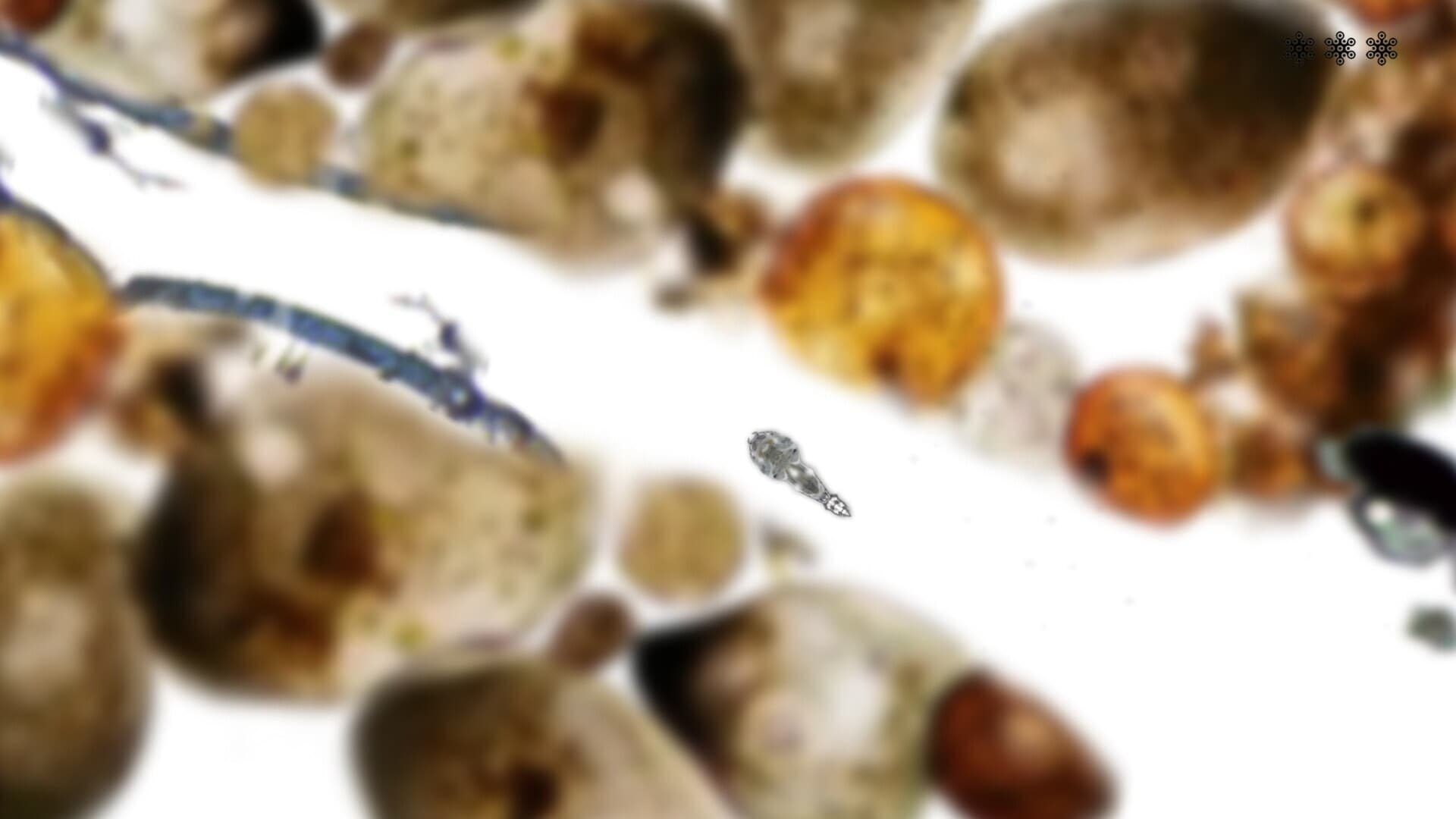MICROSCOPIC