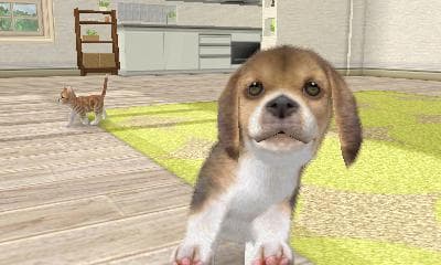 Nintendogs + Cats