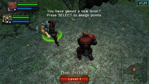 Dungeon Siege: Throne of Agony