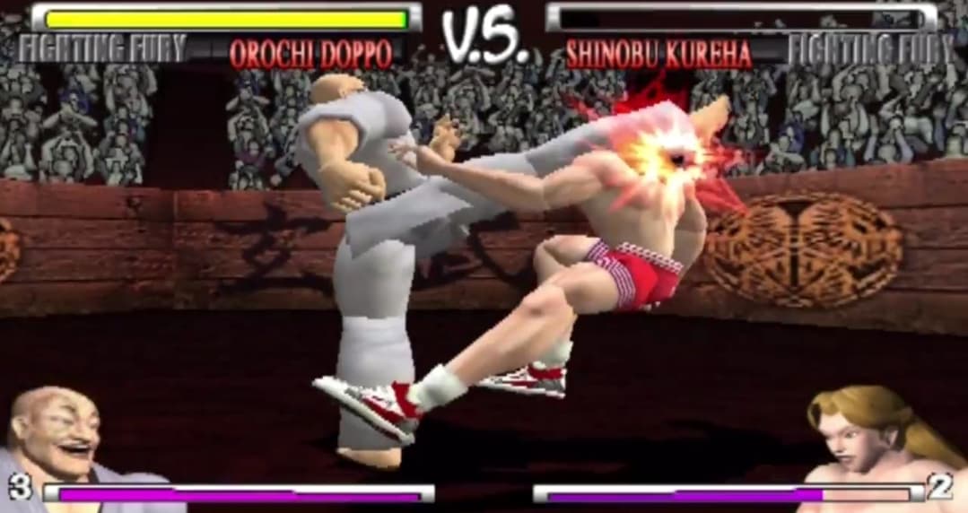 Fighting Fury