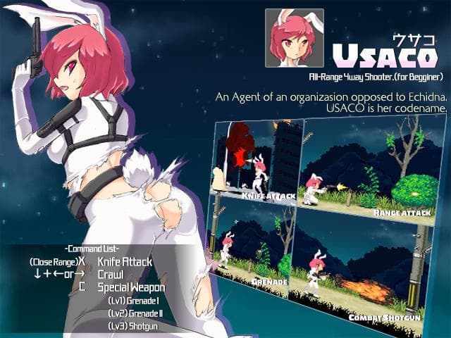 Echidna Wars DX
