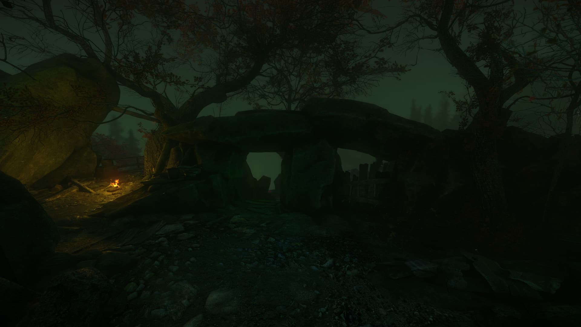The Cursed Forest