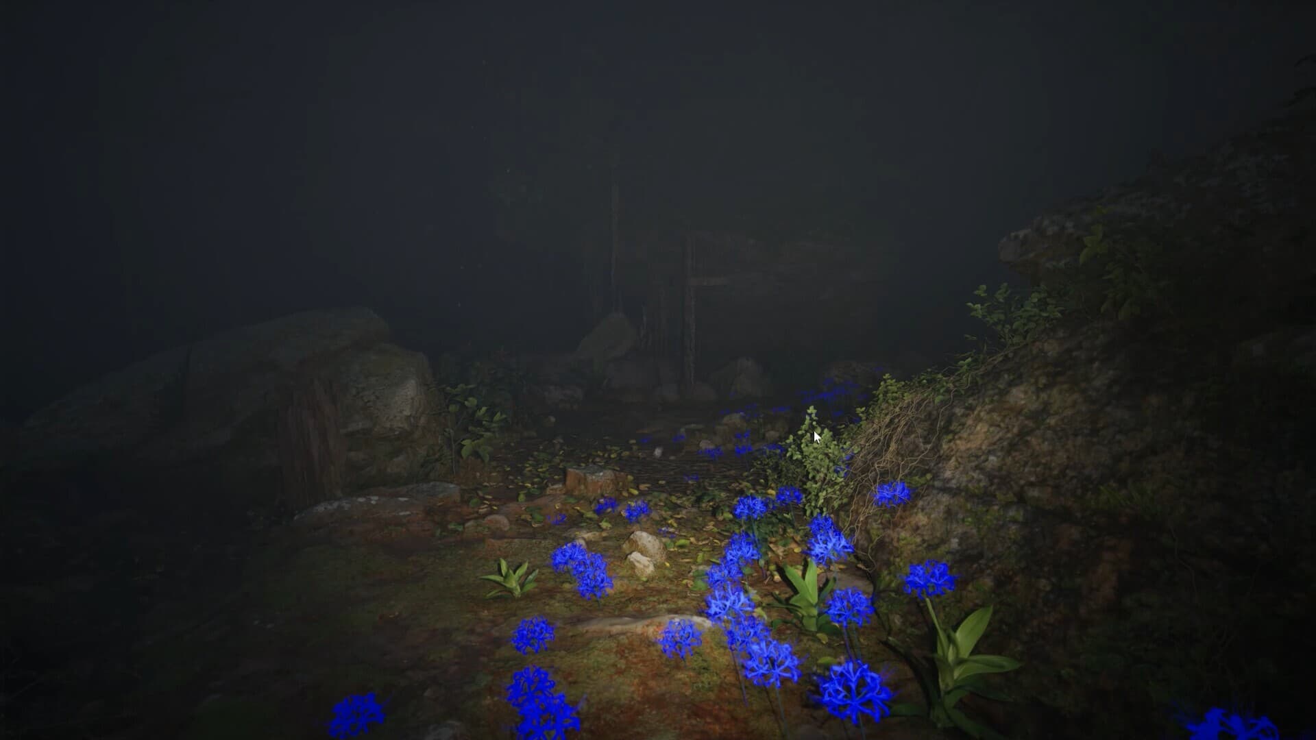 Misty Onsen