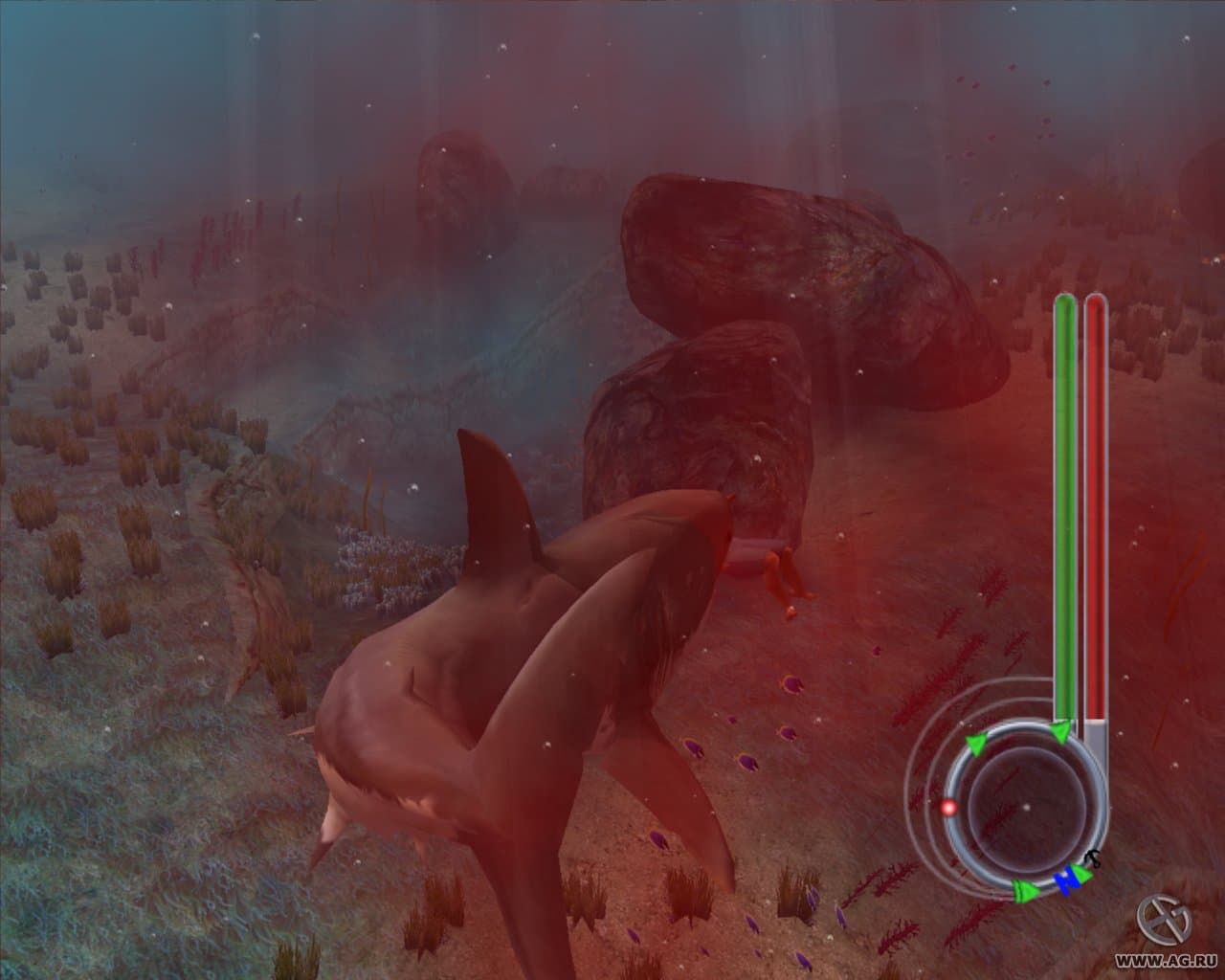 Jaws Unleashed