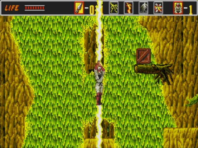 The Revenge of Shinobi (1989)
