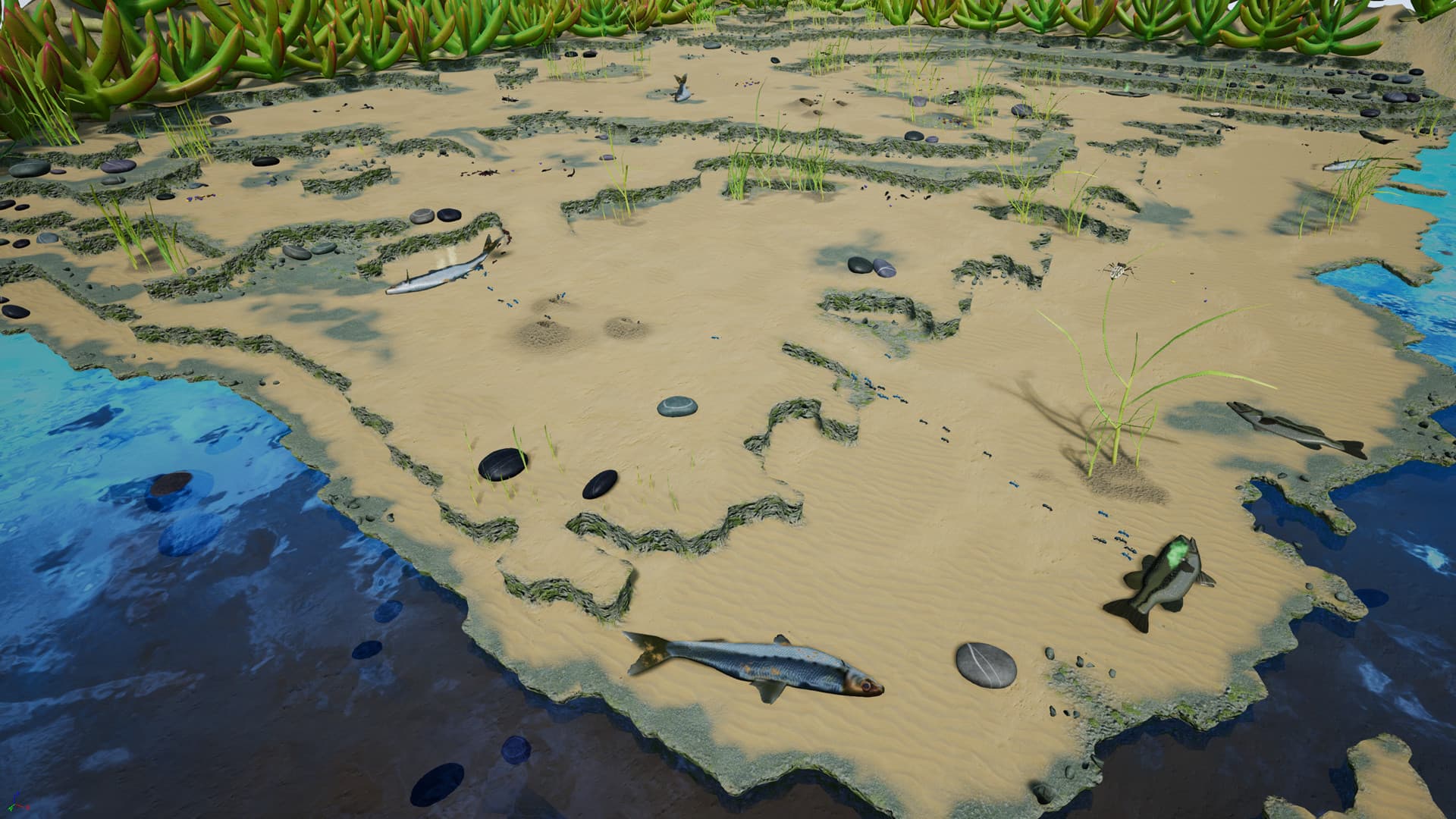 Empires of the Undergrowth