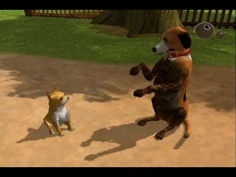 Dog's Life