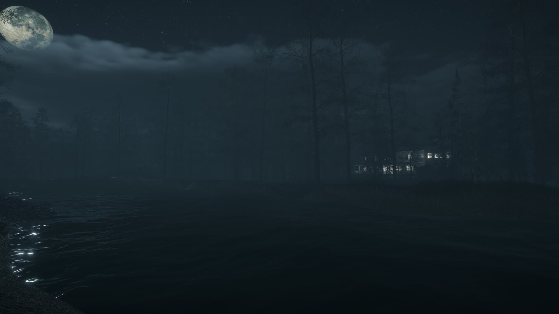 The Dark Legacy