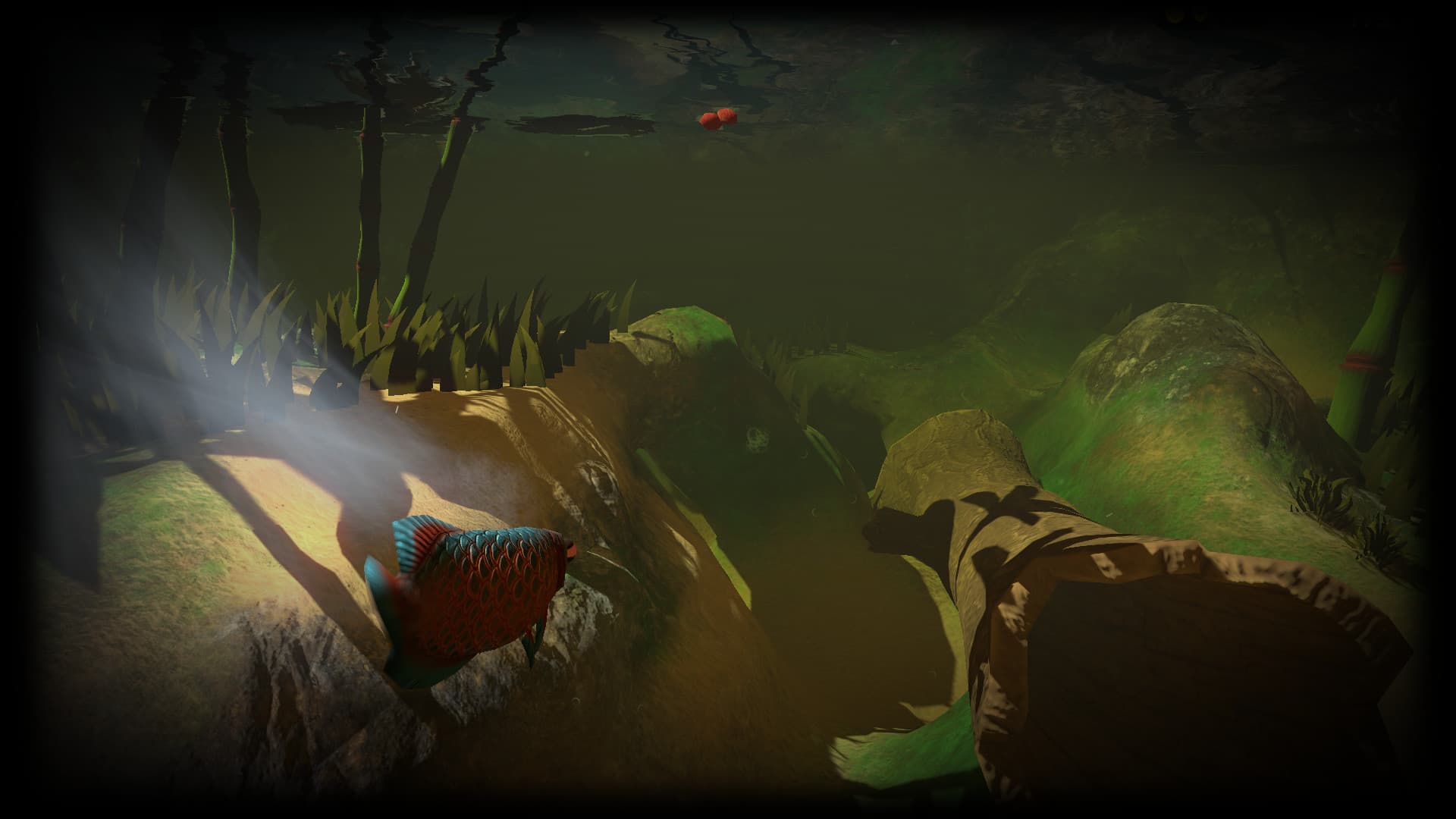 Feed and Grow: Fish
