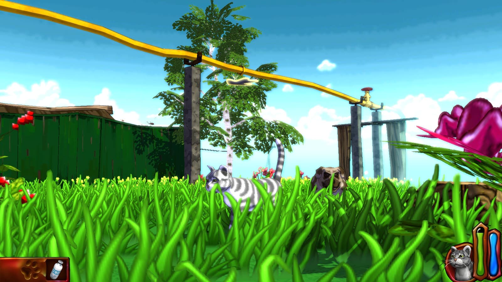 The Cat! Porfirio's Adventure