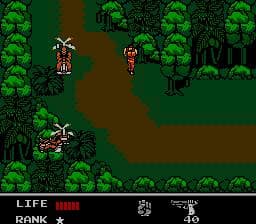 Snake's Revenge