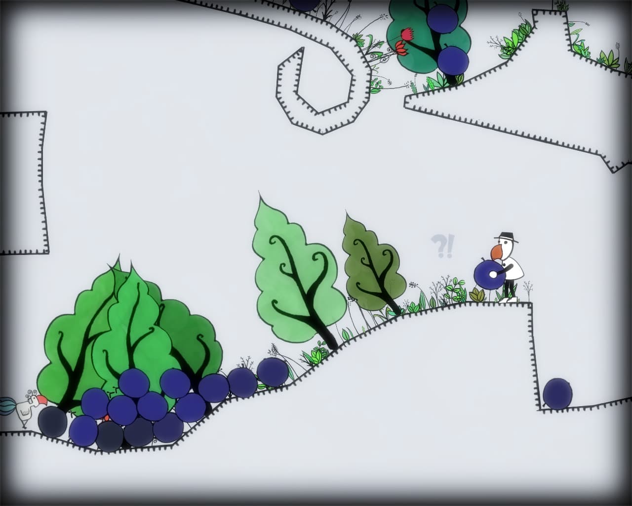 Blueberry Garden